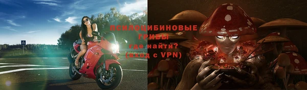 прущие крисы Покровск
