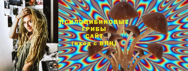 соль ск Володарск