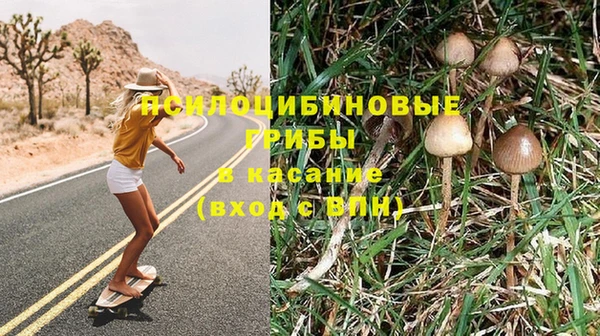 соль ск Володарск