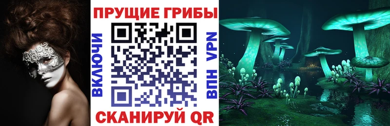 купить закладку  Дмитровск  Псилоцибиновые грибы ЛСД 